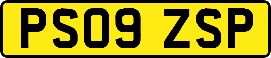 PS09ZSP