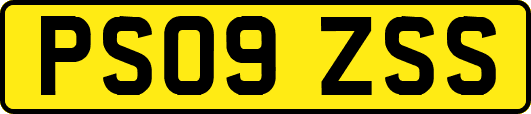 PS09ZSS
