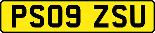 PS09ZSU
