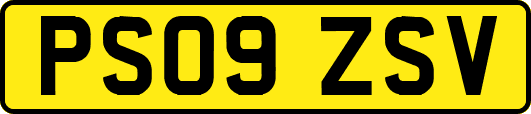 PS09ZSV
