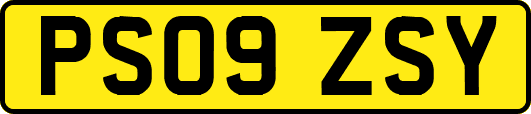 PS09ZSY