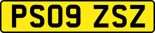 PS09ZSZ