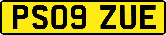 PS09ZUE