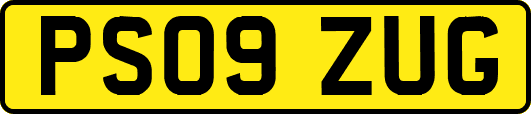 PS09ZUG
