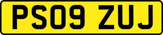 PS09ZUJ