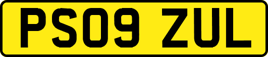 PS09ZUL