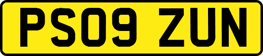 PS09ZUN