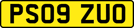 PS09ZUO