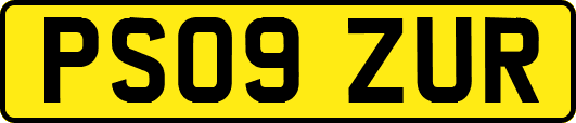 PS09ZUR