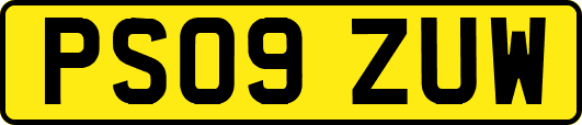 PS09ZUW