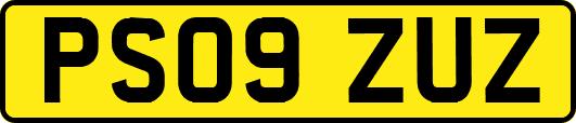 PS09ZUZ