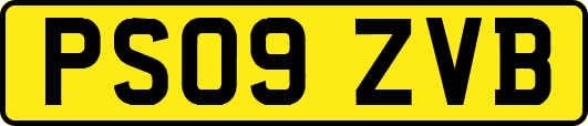 PS09ZVB