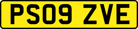 PS09ZVE