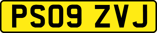 PS09ZVJ