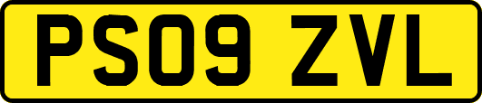 PS09ZVL