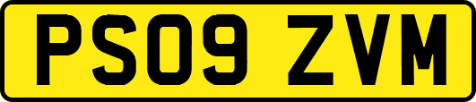 PS09ZVM