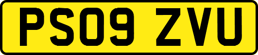PS09ZVU