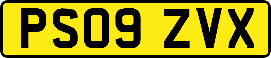 PS09ZVX