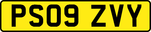 PS09ZVY