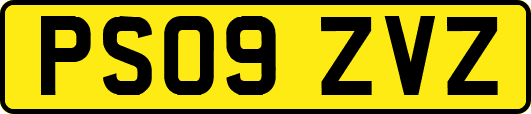 PS09ZVZ
