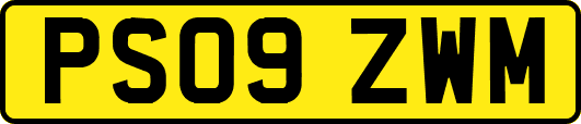 PS09ZWM