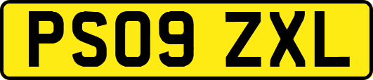 PS09ZXL