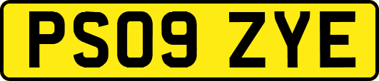 PS09ZYE