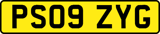 PS09ZYG