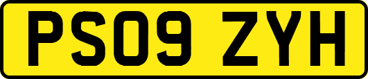 PS09ZYH