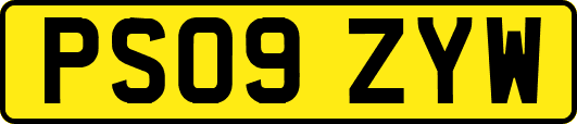 PS09ZYW