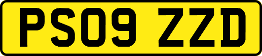 PS09ZZD