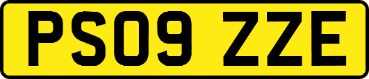 PS09ZZE