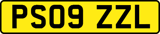 PS09ZZL