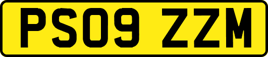 PS09ZZM
