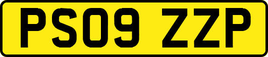 PS09ZZP