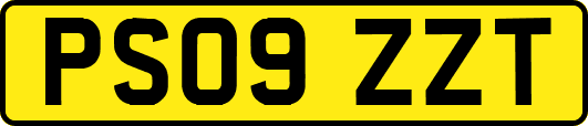 PS09ZZT