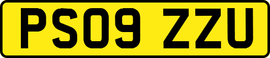 PS09ZZU
