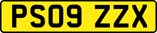 PS09ZZX