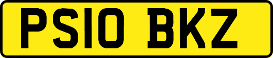 PS10BKZ