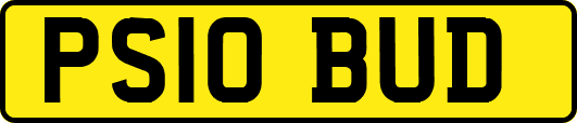 PS10BUD