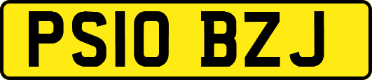 PS10BZJ
