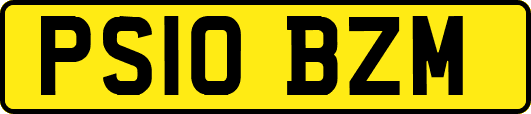 PS10BZM