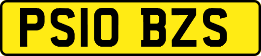 PS10BZS
