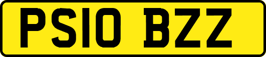 PS10BZZ