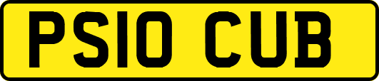 PS10CUB