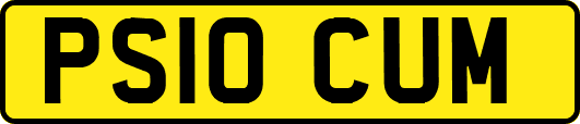 PS10CUM