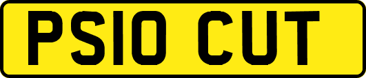 PS10CUT