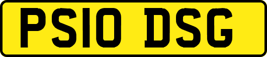 PS10DSG