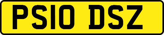 PS10DSZ