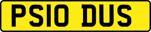 PS10DUS